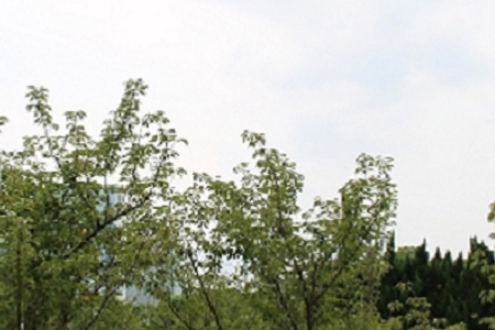 ��Ӱ�������ֻ���˾���ƴ�ȫ