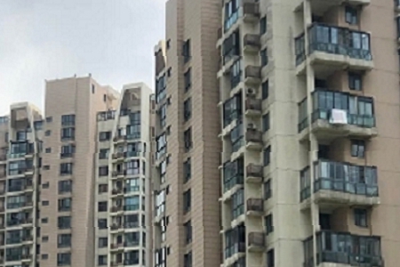 �����µĹŶ�������