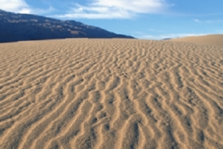 ����ֵ�ȡʲô���ֺ�