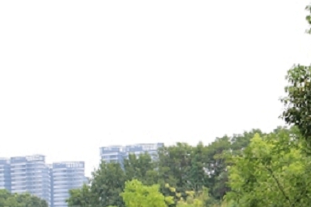 �����д���ĺ�������