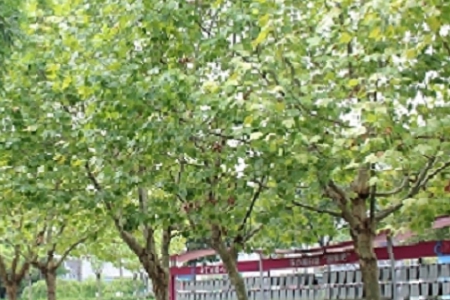 个性的烧烤店起名大全