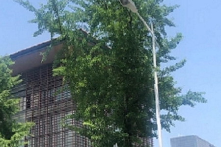 文玩店名取名字大全