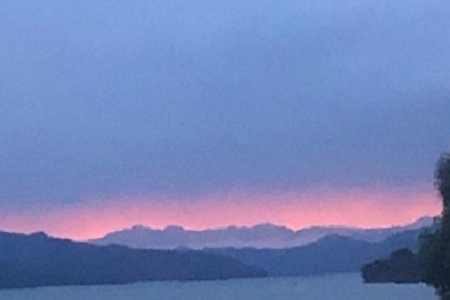 简单大气特别一点宠物店名字