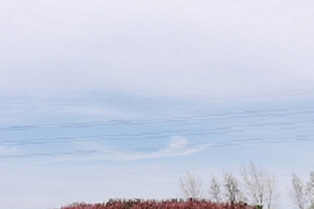 服装店起名名字简洁大气