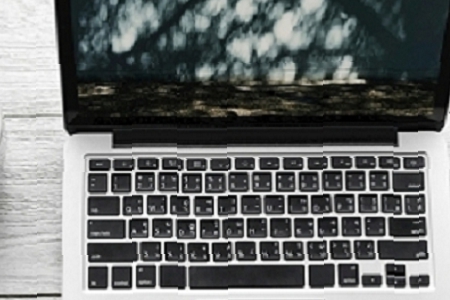 ���������Ŀ�͵�����