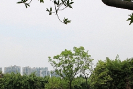 大气的窗帘店铺名字