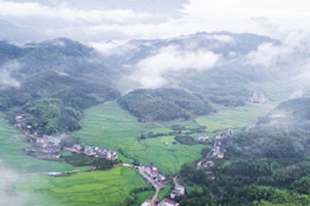 奶茶店名字创意顺口