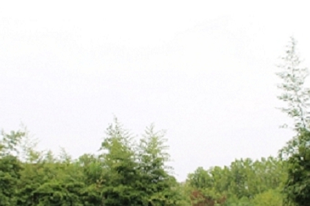 简单大气建筑公司名字